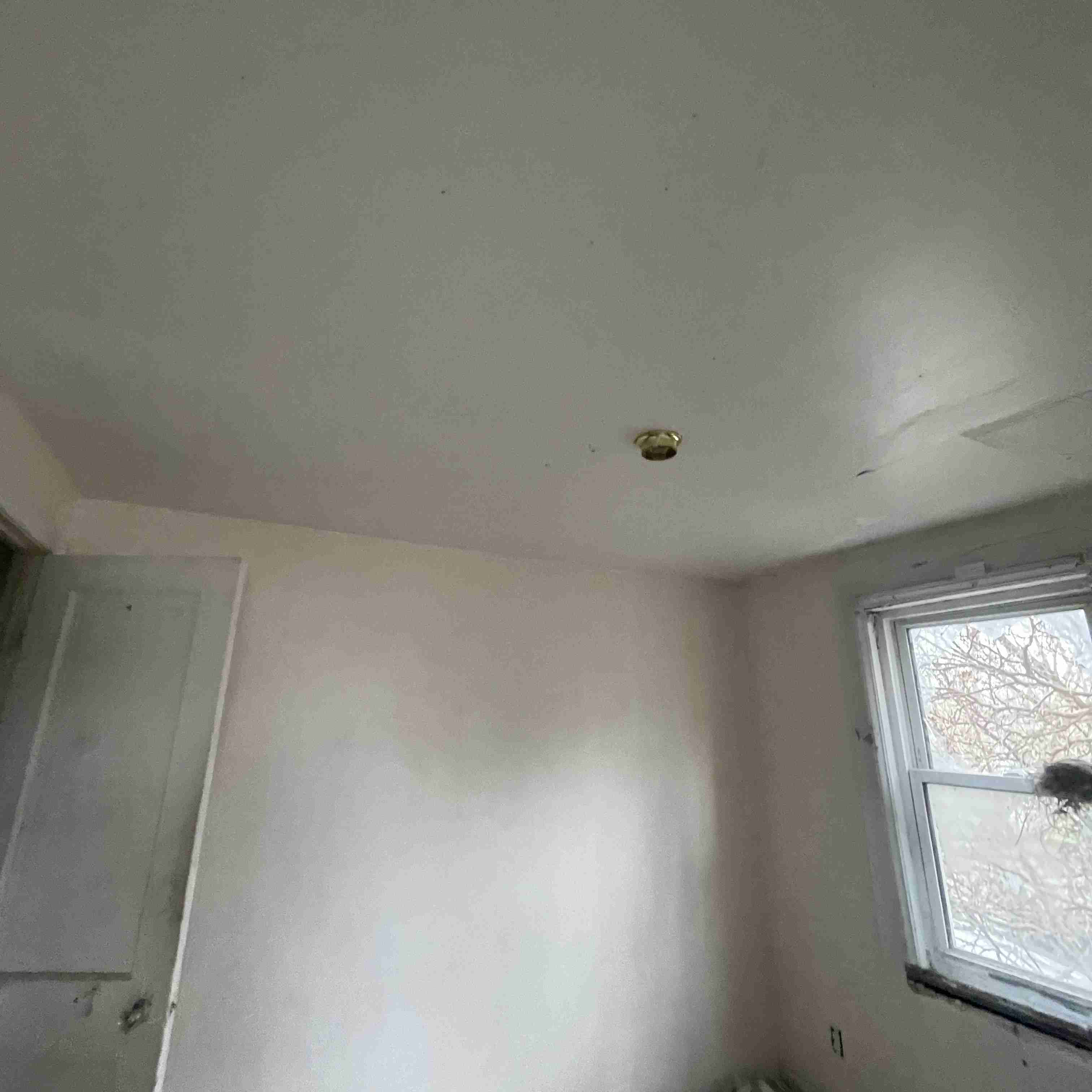 20017 Schoenherr (89).jpg